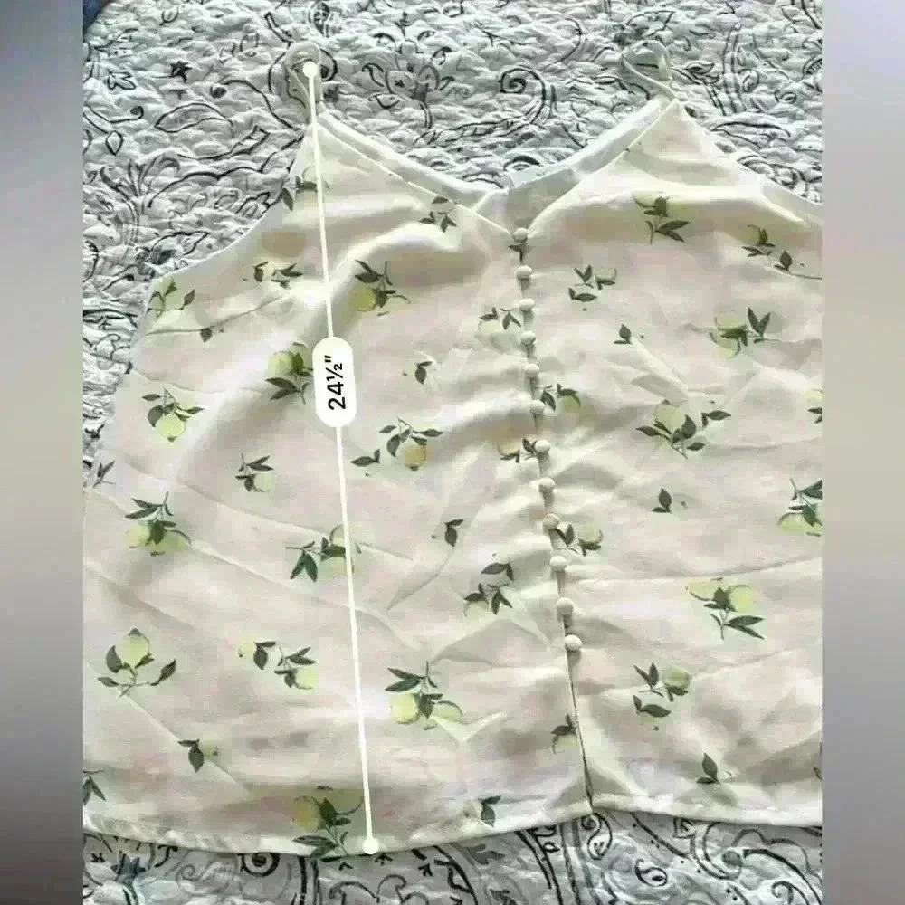Sophie Rue xl cream chiffon top - Picture 4 of 5